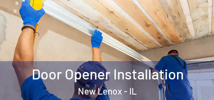  Door Opener Installation New Lenox - IL