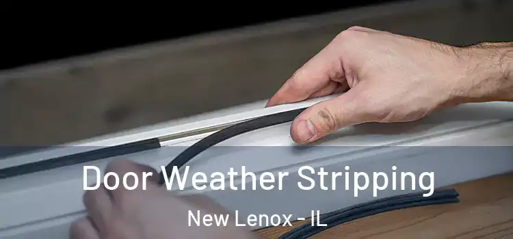 Door Weather Stripping New Lenox - IL