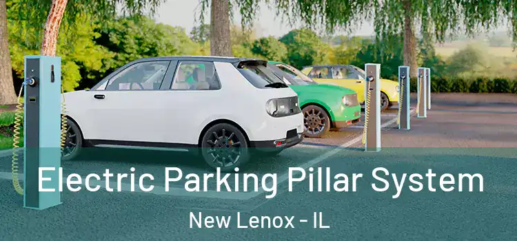 Electric Parking Pillar System New Lenox - IL