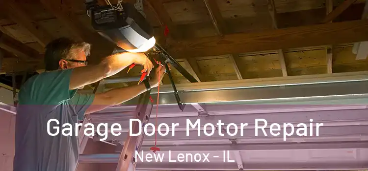  Garage Door Motor Repair New Lenox - IL