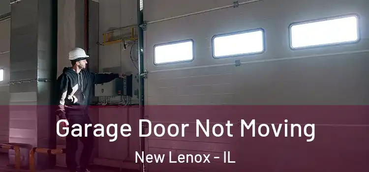  Garage Door Not Moving New Lenox - IL