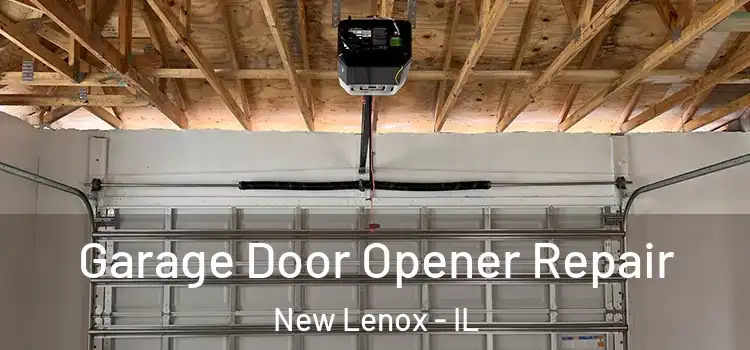  Garage Door Opener Repair New Lenox - IL