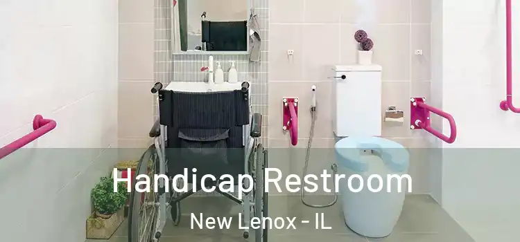 Handicap Restroom New Lenox - IL