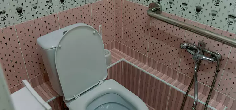 Meeting Diverse Needs With Accessible Restroom Solutions in New Lenox, IL