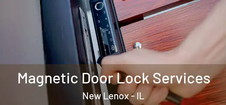  Magnetic Door Lock Services New Lenox - IL