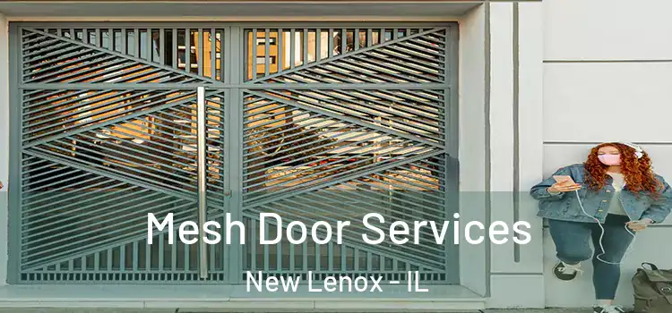 Mesh Door Services New Lenox - IL