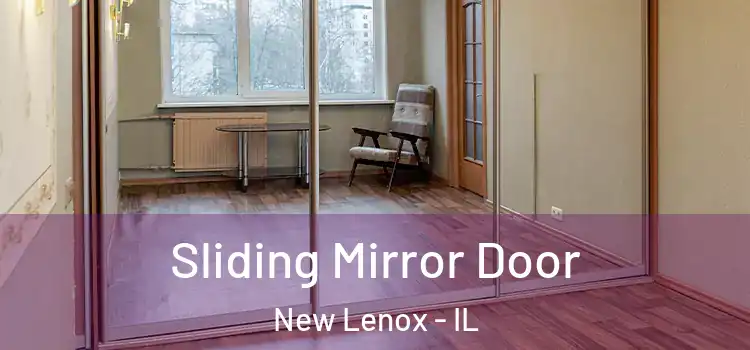 Sliding Mirror Door New Lenox - IL