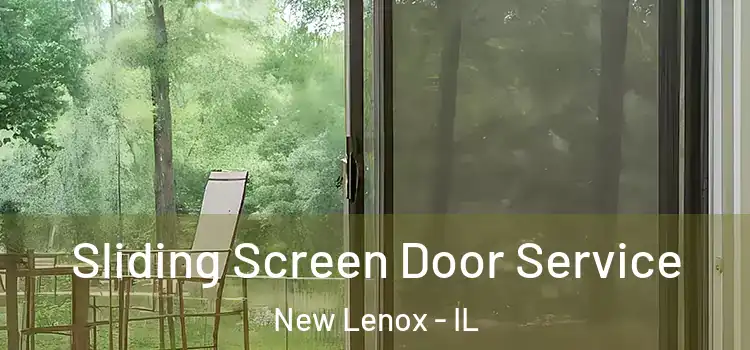 Sliding Screen Door Service New Lenox - IL
