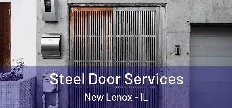  Steel Door Services New Lenox - IL